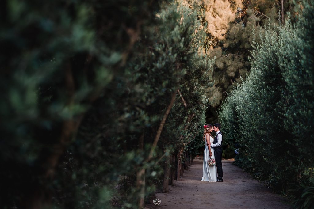 sesión de novios olivos del monte